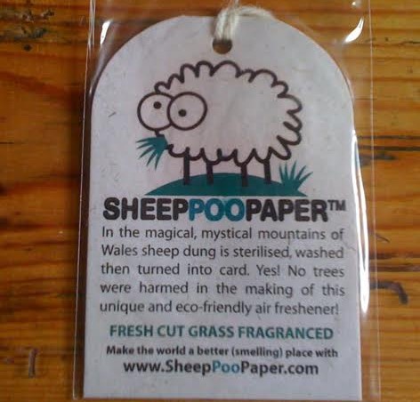 A Casa na Praia - Pais de Gales - sheep poop paper - Daniela Pesconi-Arthur